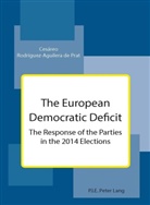 Cesáreo Rodríguez-Aguilera de Prat - The European Democratic Deficit