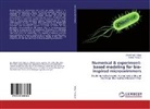 Ahmet Fati Tabak, Ahmet Fatih Tabak, Serhat Yesilyurt - Numerical & experiment-based modeling for bio-inspired microswimmers