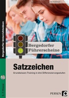 Tim Heidemann - Führerschein: Satzzeichen - Sekundarstufe, m. 1 CD-ROM