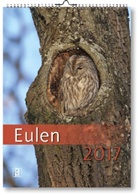Quelle &amp; Meyer Verlag - Eulen 2017
