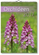Quelle &amp; Meyer Verlag - Orchideen 2017
