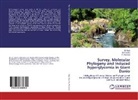 Kavitha, M Kavitha, M. Kavitha, P Perumal, P. Perumal, Raja... - Survey, Molecular Phylogeny and Induced hyperglycemia in Giant Danio