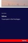 Felix Dahn - Sühne