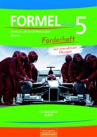 Stefanie Rolland, Claudia Rosen, Walter Sailer, Simon Weidner, Karl Haubner, Engelbert Vollath... - Formel plus, Ausgabe Bayern: Formel PLUS Bayern Förderheft 5