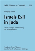 Wolfgang Schütte - Israels Exil in Juda