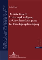 Enrico Meier - Die unterlassene Änderungskündigung als Unwirksamkeitsgrund der Beendigungskündigung