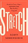 Scott Sonenshein, Sonenshein Scott - Stretch