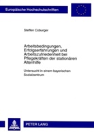 Steffen Coburger - Arbeitsbedingungen, Erfolgserfahrungen und Arbeitszufriedenheit bei Pflegekräften der stationären Altenhilfe