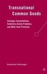 K Holzinger, K. Holzinger, Katharina Holzinger - Transnational Common Goods