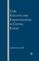 R Zubek, R. Zubek, Radoslaw Zubek - Core Executive and Europeanization in Central Europe