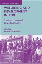 J. Copestake, James Copestake, Copestake, J Copestake, J. Copestake - Wellbeing and Development in Peru