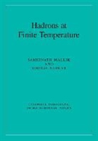 Samirnath Mallik, Samirnath (Saha Institute of Nuclear Physi Mallik, Samirnath (Saha Institute of Nuclear Physics Mallik, Sourav Sarkar - Hadrons At Finite Temperature
