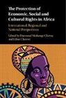 Danwood Mzikenge (University of Cape Town) Chirwa, Danwood Mzikenge Chenwi Chirwa, Lilian Chenwi, Chenwi Lilian, Danwood Msikenge Chirwa, Danwood Mzikenge Chirwa... - Protection of Economic, Social and Cultural Rights in Africa