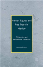 A. Estevez, Ariadna Estevez, A. Estévez, Ariadna Estévez - Human Rights and Free Trade in Mexico