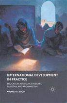 A Rugh, A. Rugh, Andrea B. Rugh - International Development in Practice
