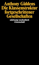 Anthony Giddens - Die Klassenstruktur fortgeschrittener Gesellschaften