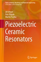 Ji¿í Erhart, Jir Erhart, Jirí Erhart, Jiří Erhart, Petr P¿lpán, Pet Pulpán... - Piezoelectric Ceramic Resonators