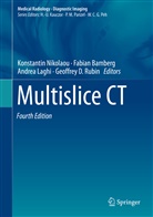 Fabia Bamberg, Fabian Bamberg, Andrea Laghi, Andrea Laghi et al, Konstantin Nikolaou, Geoffrey Rubin... - Multislice CT