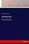 Johannes Schlaf - Sommertod