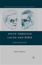 S Brivic, S. Brivic, Shelly Brivic - Joyce Through Lacan and Zizek