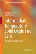 Zongpin Shao, Zongping Shao, Moses O. Tade, Moses O Tadé, Moses O. Tadé - Intermediate-Temperature Solid Oxide Fuel Cells