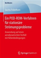 Sascha Trübelhorn - Ein POD-ROM-Verfahren für stationäre Strömungsprobleme
