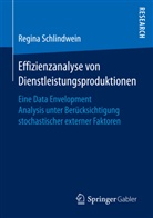 Regina Schlindwein - Effizienzanalyse von Dienstleistungsproduktionen