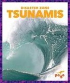 Cari Meister - Tsunamis