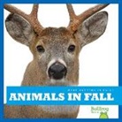 Mari C Schuh, Mari C. Schuh - Animals in Fall