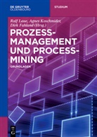 Dirk Fahland, Michae Fellmann, Michael Fellmann, Agne Koschmider, Agnes Koschmider, Ralf Laue... - Prozessmanagement und Process-Mining; .