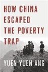 Yuen Yuen Ang - How China Escaped the Poverty Trap