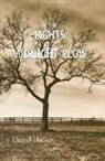David Hickey - In the Lights of a Midnight Plow
