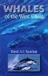 David A. E. Spalding, David A.E. Spalding - Whales of the West Coast