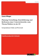 Caren Pfleger - Planung, Vorstellung, Durchführung und Reflexion einer Unterrichtsreihe zum Thema Wahlen in der EU