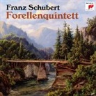 Franz Schubert - Forellenquintett (D 667), 1 Audio-CD (Audio book)