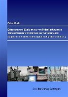 Peter Werle - Erfassung und Evaluierung von Teilenladungen in Transformatoren mit innovativen Sensoren und adaptierten Verfahren der digitalen Signalverarbeitung