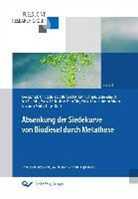 Axel Munack, Jürgen Binger, Peter Eilts, Jürgen Krahl, Axel Munack - Absenkung der Siedekurve von Biodiesel durch Metathese