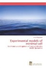 Erica D'Aguanno - Experimental models of minimal cell