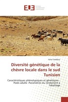 Amor Gaddour - Diversité génétique de la chèvre locale dans le sud Tunisien