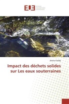 Amina Chofqi - Impact des déchets solides sur Les eaux souterraines