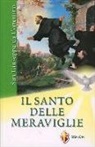 Wanda Chiappinelli - San Giuseppe da Copertino. Il santo delle meraviglie