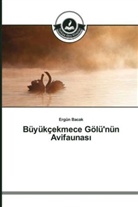 Ergün Bacak - Büyükçekmece Gölü'nün Avifaunas
