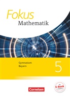 Johanne Almer, Johannes Almer, Dr. Gerd Birner, Ger Birner, Gerd Birner, Gerd (Dr. Birner... - Fokus Mathematik, Ausgabe Bayern 2017: Fokus Mathematik - Bayern - Ausgabe 2017 - 5. Jahrgangsstufe