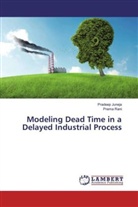 Pradee Juneja, Pradeep Juneja, Prema Rani - Modeling Dead Time in a Delayed Industrial Process