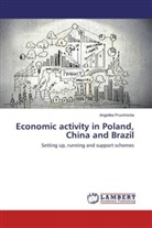 Angelika Pruchnicka - Economic activity in Poland, China and Brazil