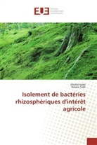 Elhafi Nabti, Elhafid Nabti, Nassira Tabli - Isolement de bactéries rhizosphériques d'intérêt agricole