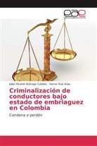 Julián Ricard Buitrago Cubides, Julián Ricardo Buitrago Cubides, Hecto Ruíz Arias, Hector Ruíz Arias - Criminalización de conductores bajo estado de embriaguez en Colombia