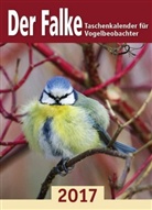 Redaktion Der Falke - Der Falke, Taschenkalender für Vogelbeobachter 2017