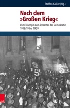 Steffe Kailitz, Steffen Kailitz - Nach dem "Großen Krieg"