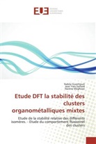 Nabil Guechtouli, Nabila Guechtouli, H Meghezzi, Hacène Meghezzi, Jean Yve Saillard, Jean Yves Saillard - Etude DFT la stabilité des clusters organométalliques mixtes